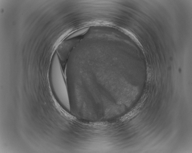 X0000067370946200604211539