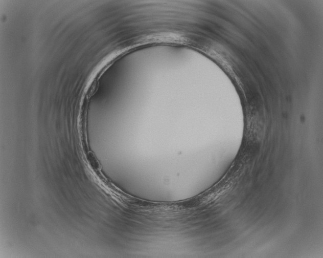 X0000067370947200604211539