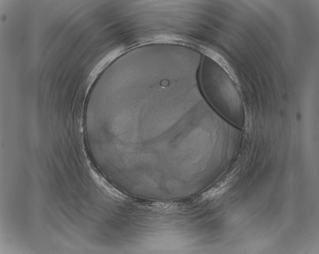 X0000067370954200604211539