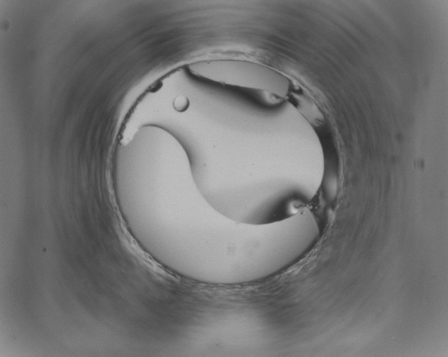 X0000067370960200604211539