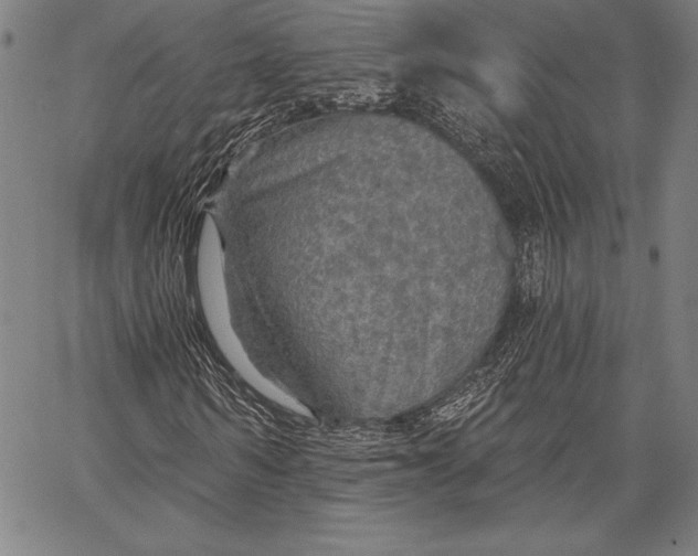 X0000067370962200604211538