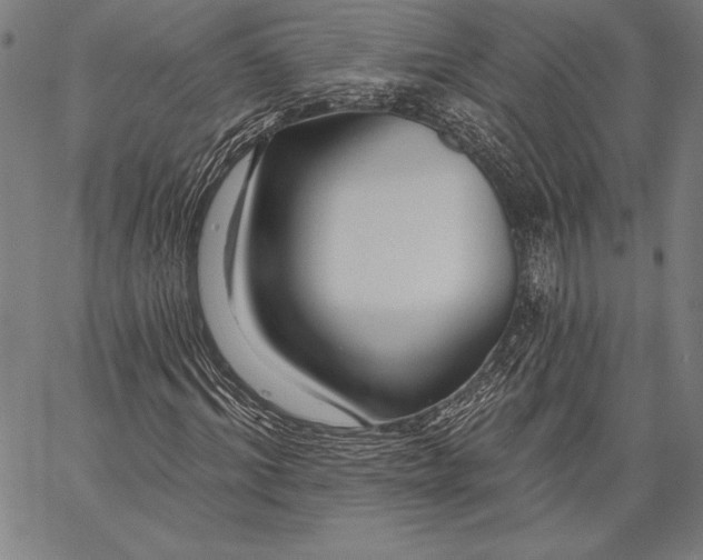 X0000067370964200604211538
