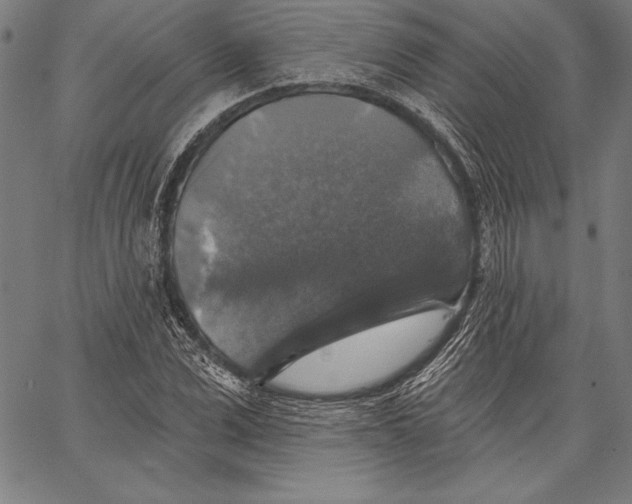 X0000067370975200604211538