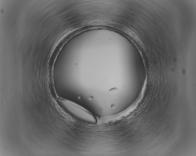 X0000067370976200604211538