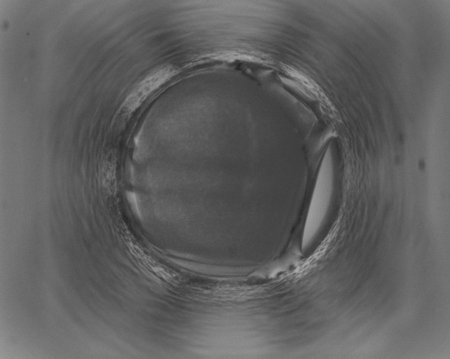 X0000067370977200604211538