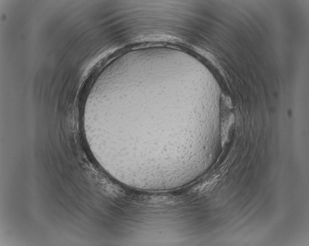 X0000067370979200604211538
