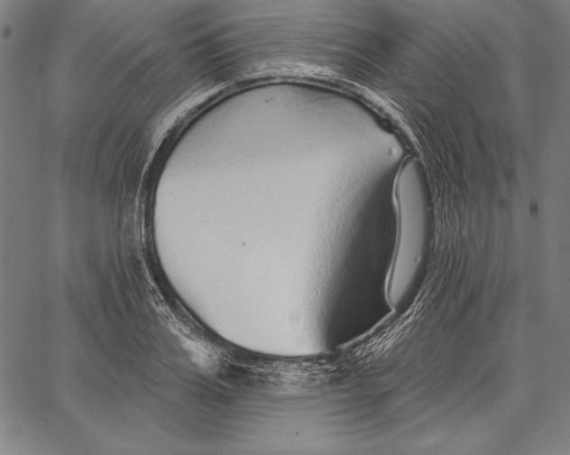 X0000067370987200604211538