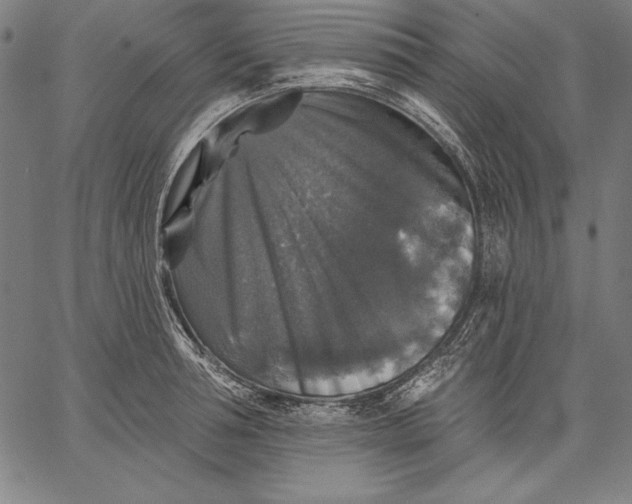 X0000067370994200604211537