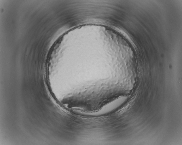 X0000067370999200604211537