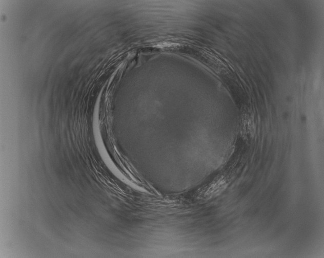 X0000067371010200604211536