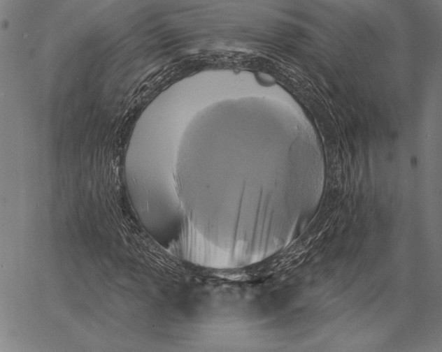 X0000067371013200604211536