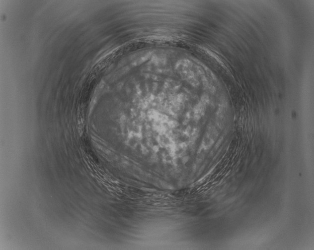 X0000067371015200604211537