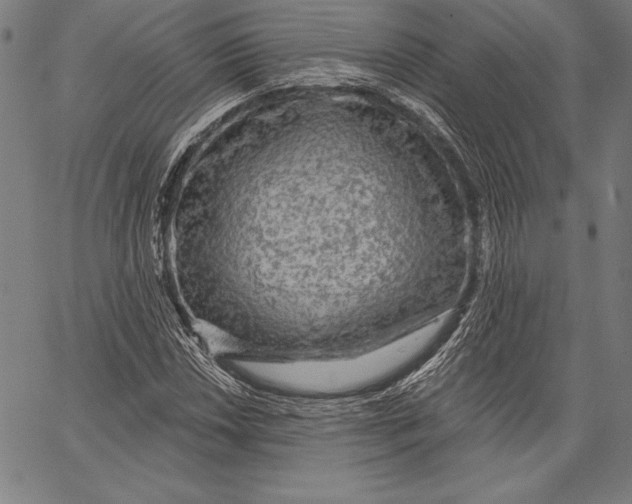 X0000067371018200604211537