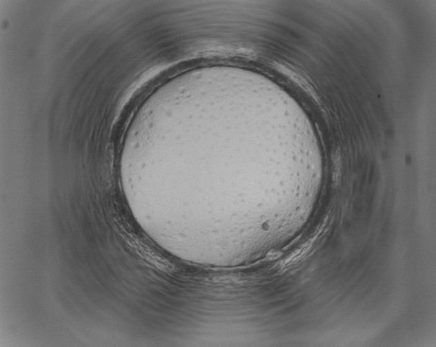 X0000067371021200604211537