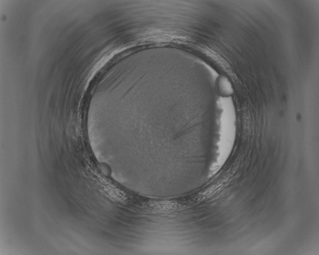 X0000067371023200604211537