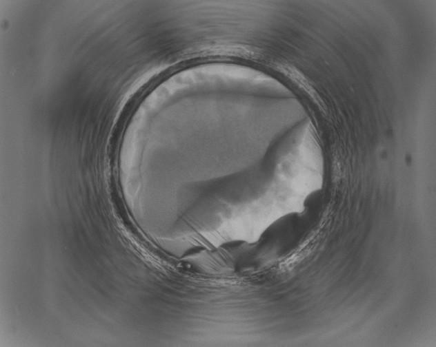 X0000067371024200604211537