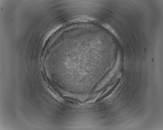 X0000067371026200604211537