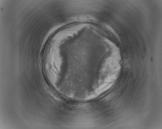 X0000067371035200604211537