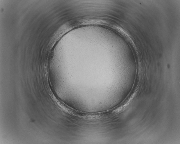 X0000067371041200604211537
