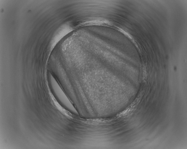 X0000067371042200604211537