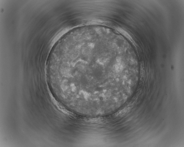X0000067371047200604211537