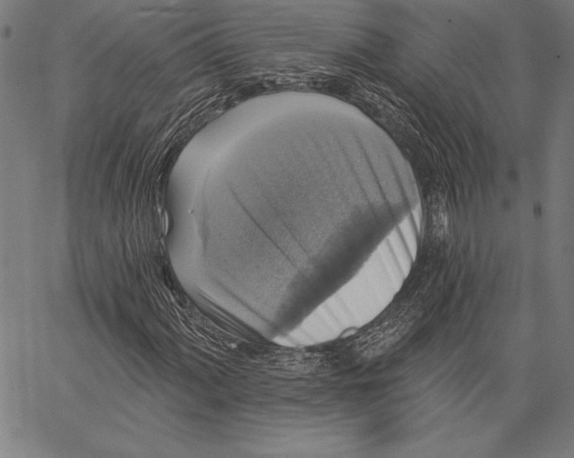 X0000067371060200604211536