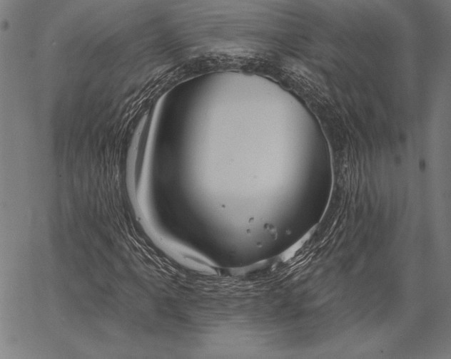 X0000067371061200604211536