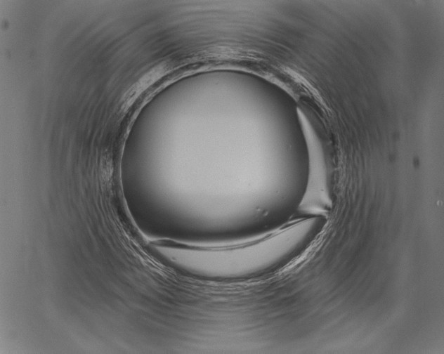 X0000067371065200604211536