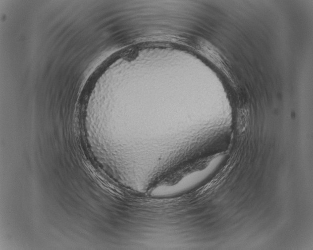 X0000067371068200604211536