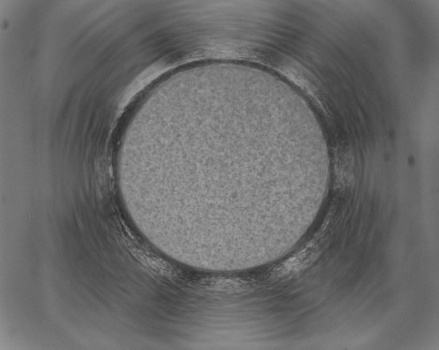 X0000067371070200604211536