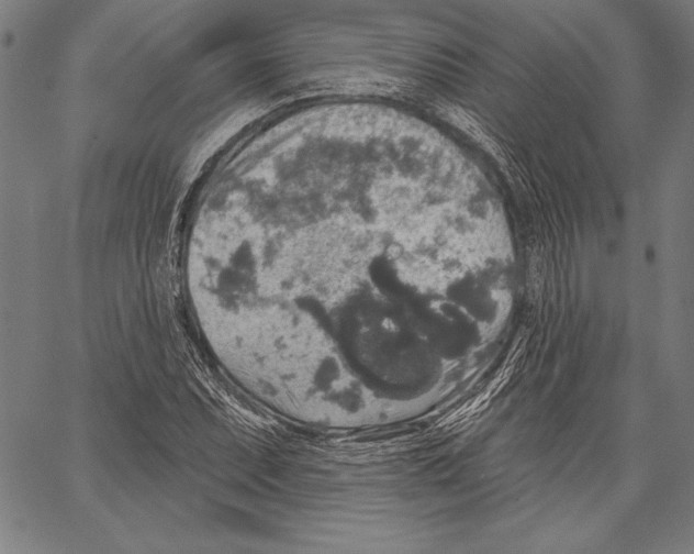 X0000067371071200604211536