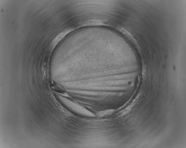 X0000067371081200604211536