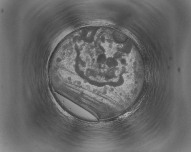 X0000067371087200604211536