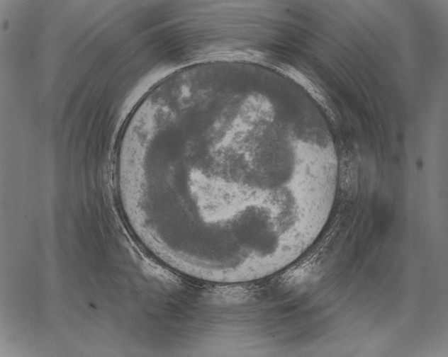 X0000067371094200604211536