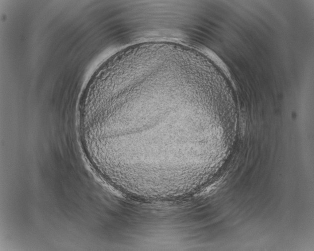 X0000067371096200604211536