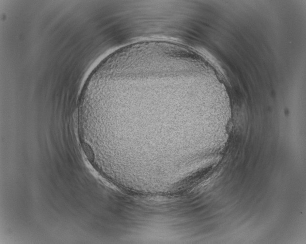 X0000067371100200604211536