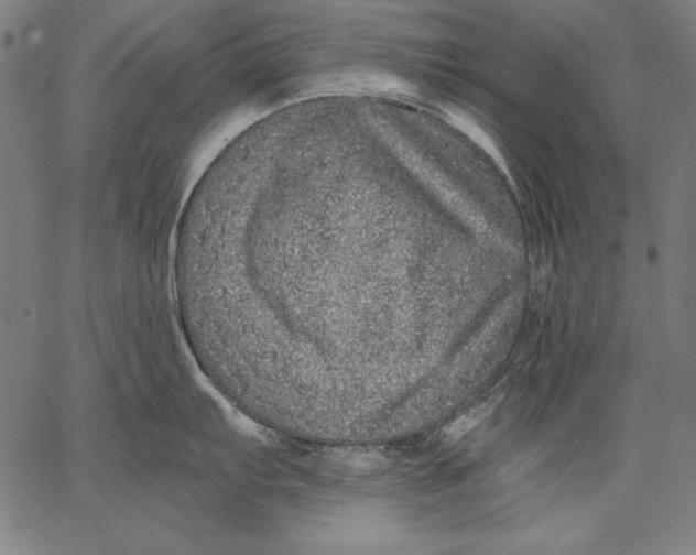 X0000067371103200604211536