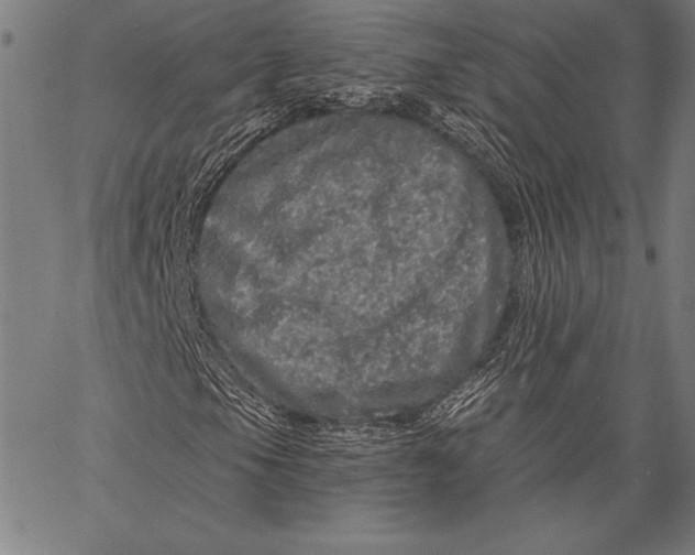 X0000067371105200604211535
