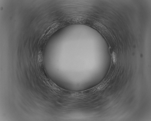 X0000067371107200604211535