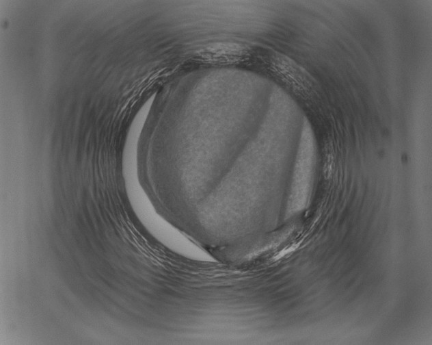 X0000067371108200604211535