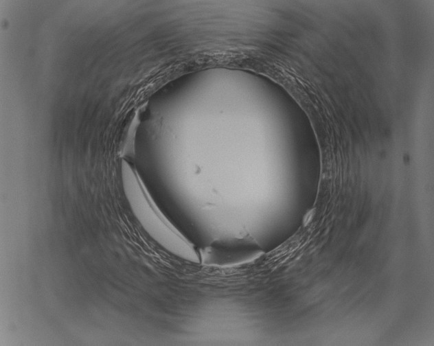 X0000067371109200604211535