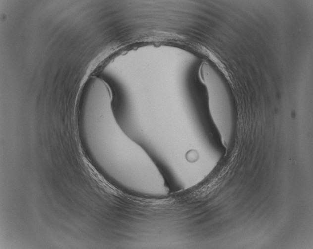 X0000067371122200604211535
