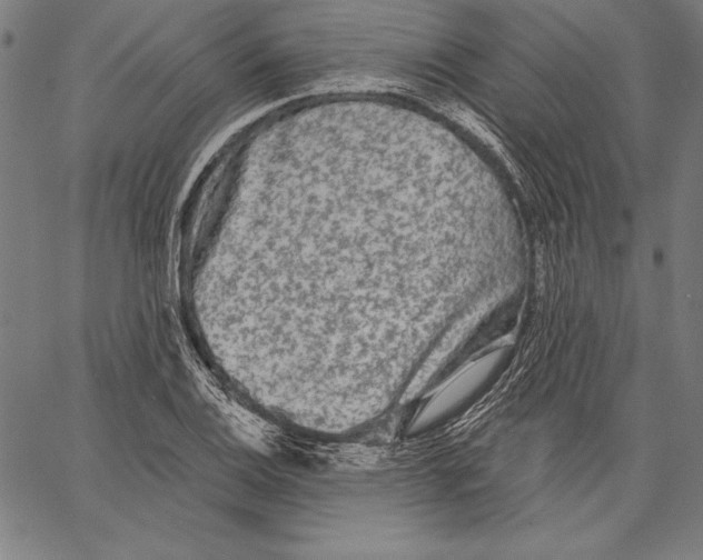 X0000067371124200604211535