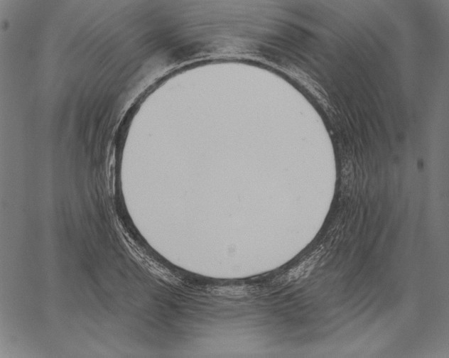 X0000067371126200604211535