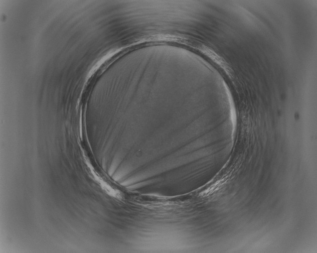 X0000067371127200604211535