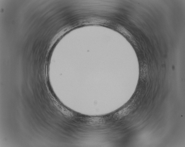 X0000067371130200604211535