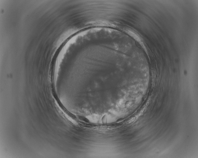 X0000067371141200604211535