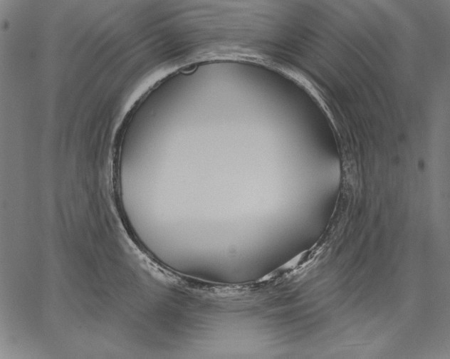 X0000067371147200604211536
