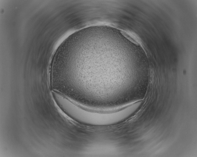 X0000067371151200604211536