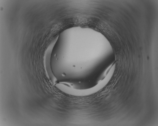 X0000067371153200604211535